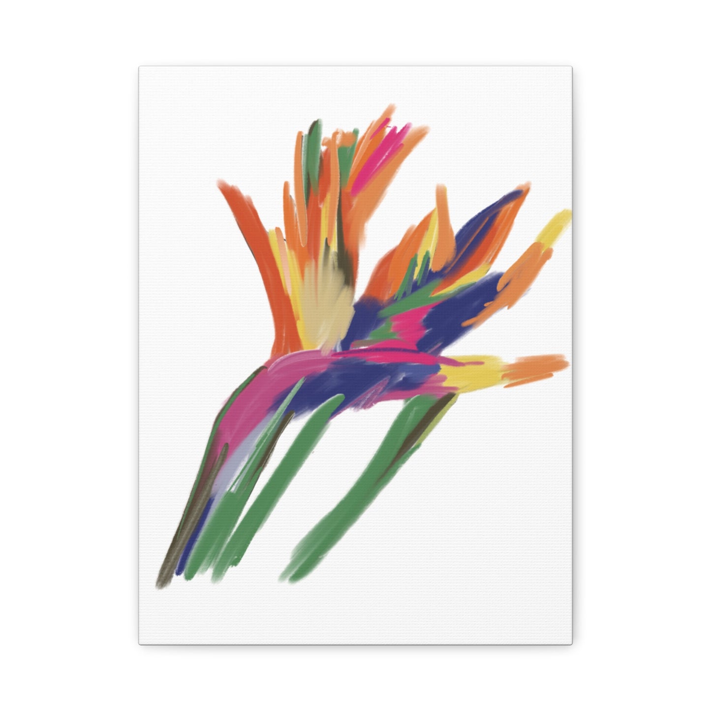 Canvas Print - Bird of Paradise in Lively Colours