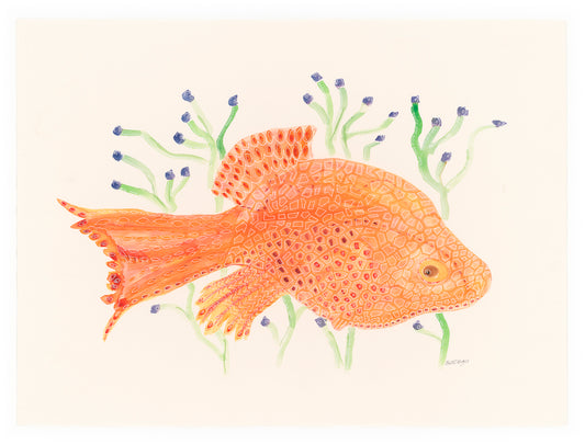 Fish in Orange Suspended in Reeds