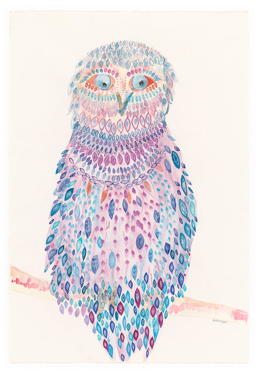 Owl Dressed Ready To Impress!