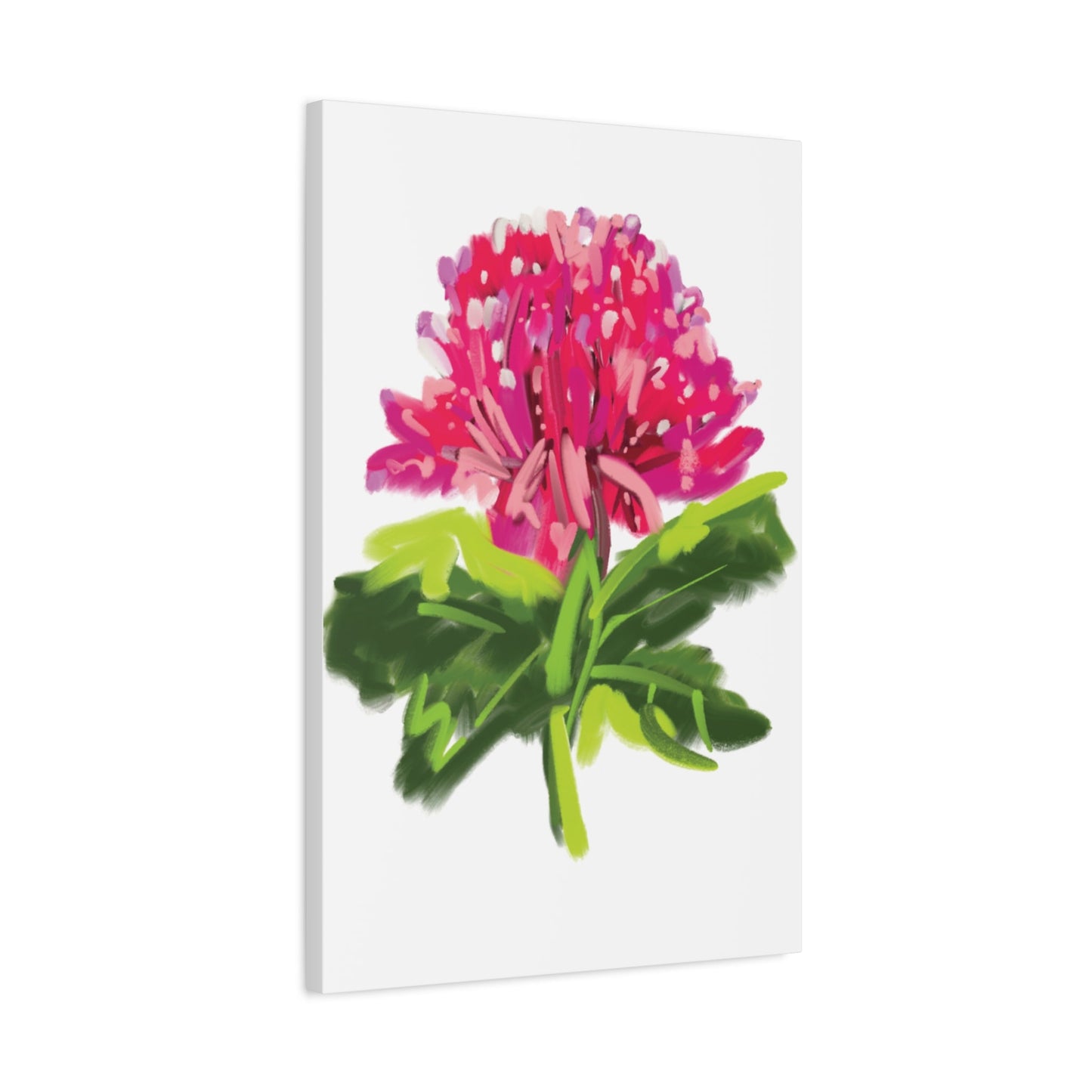 Canvas Print - Waratah in Pinks and Reds with Green Stem - Artmakeyourmark.com