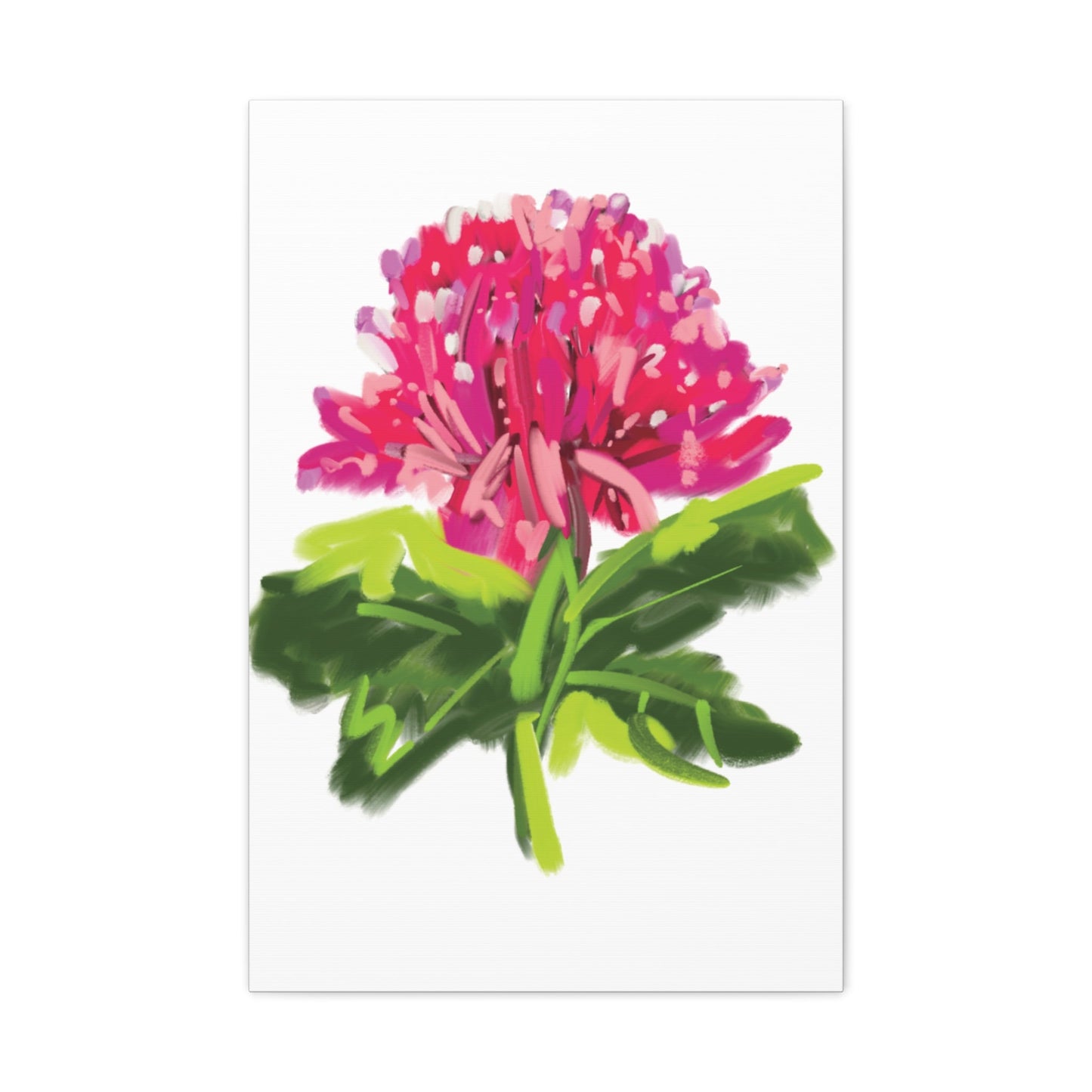 Canvas Print - Waratah in Pinks and Reds with Green Stem - Artmakeyourmark.com