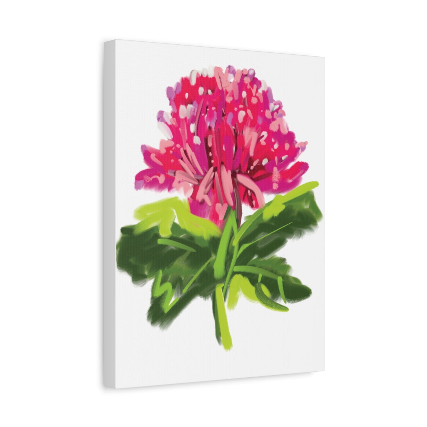 Canvas Print - Waratah in Pinks and Reds with Green Stem - Artmakeyourmark.com
