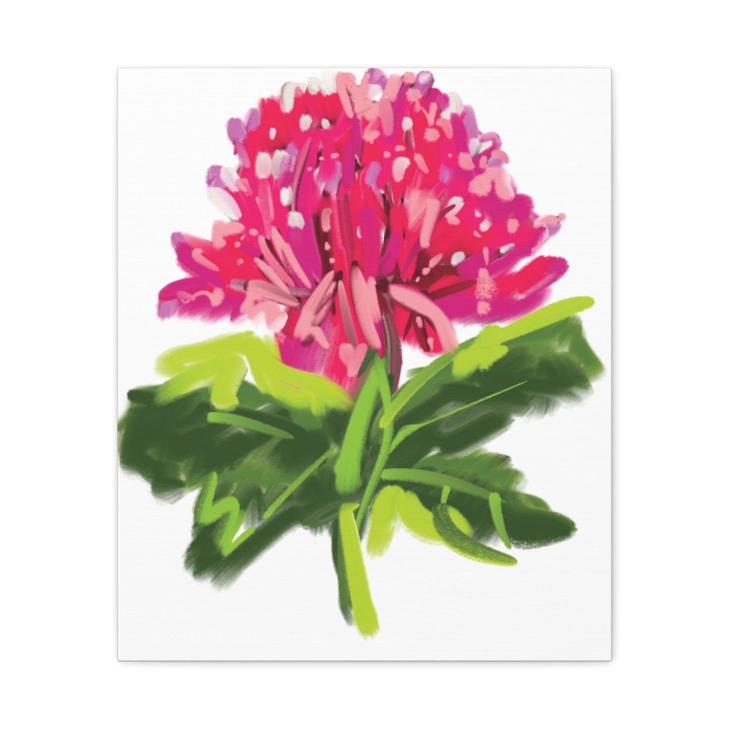 Canvas Print - Waratah in Pinks and Reds with Green Stem - Artmakeyourmark.com