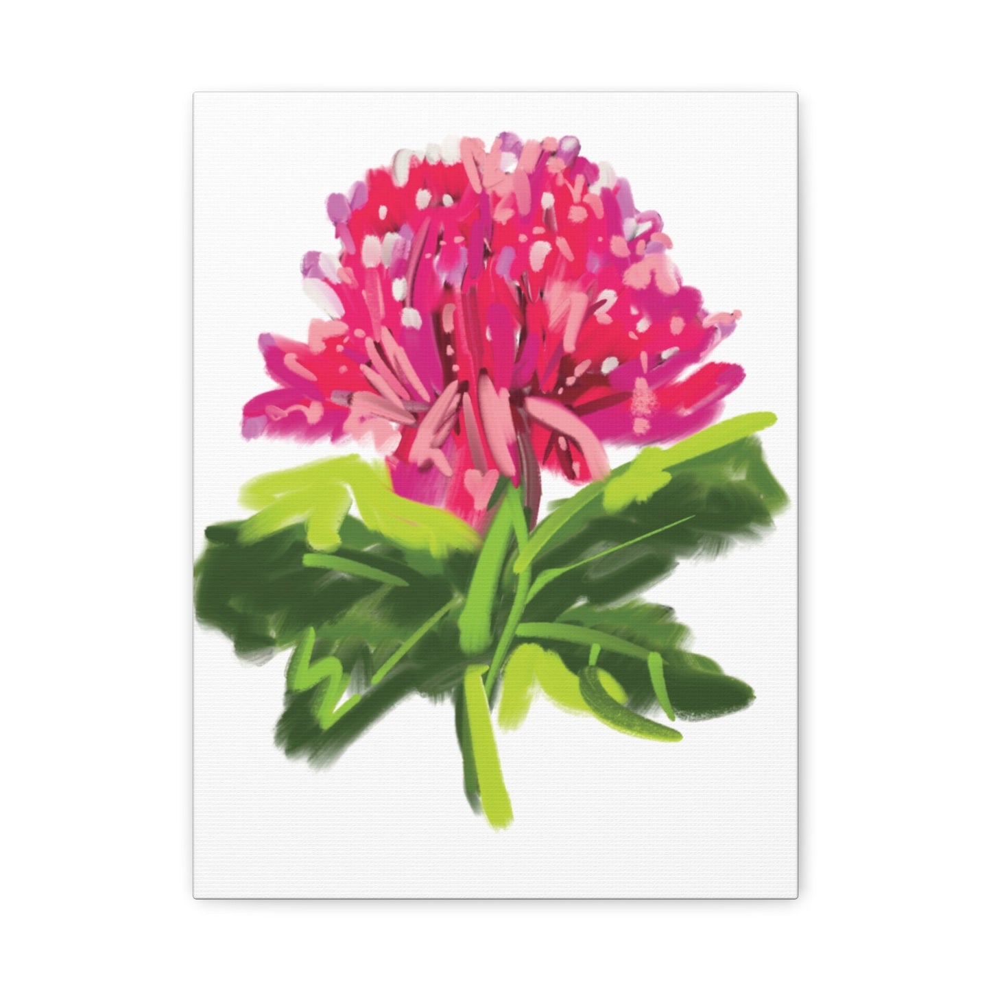 Canvas Print - Waratah in Pinks and Reds with Green Stem - Artmakeyourmark.com