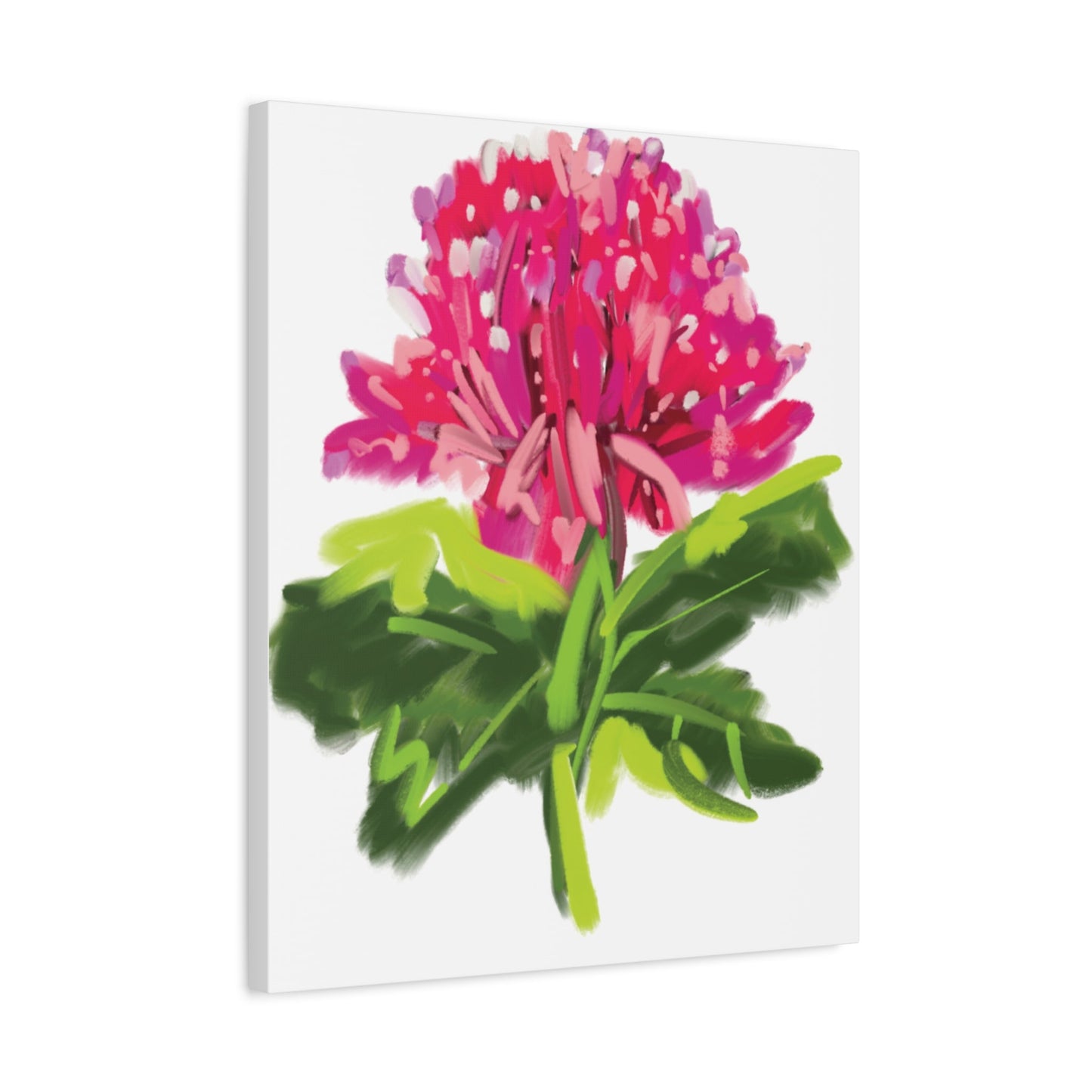 Canvas Print - Waratah in Pinks and Reds with Green Stem - Artmakeyourmark.com