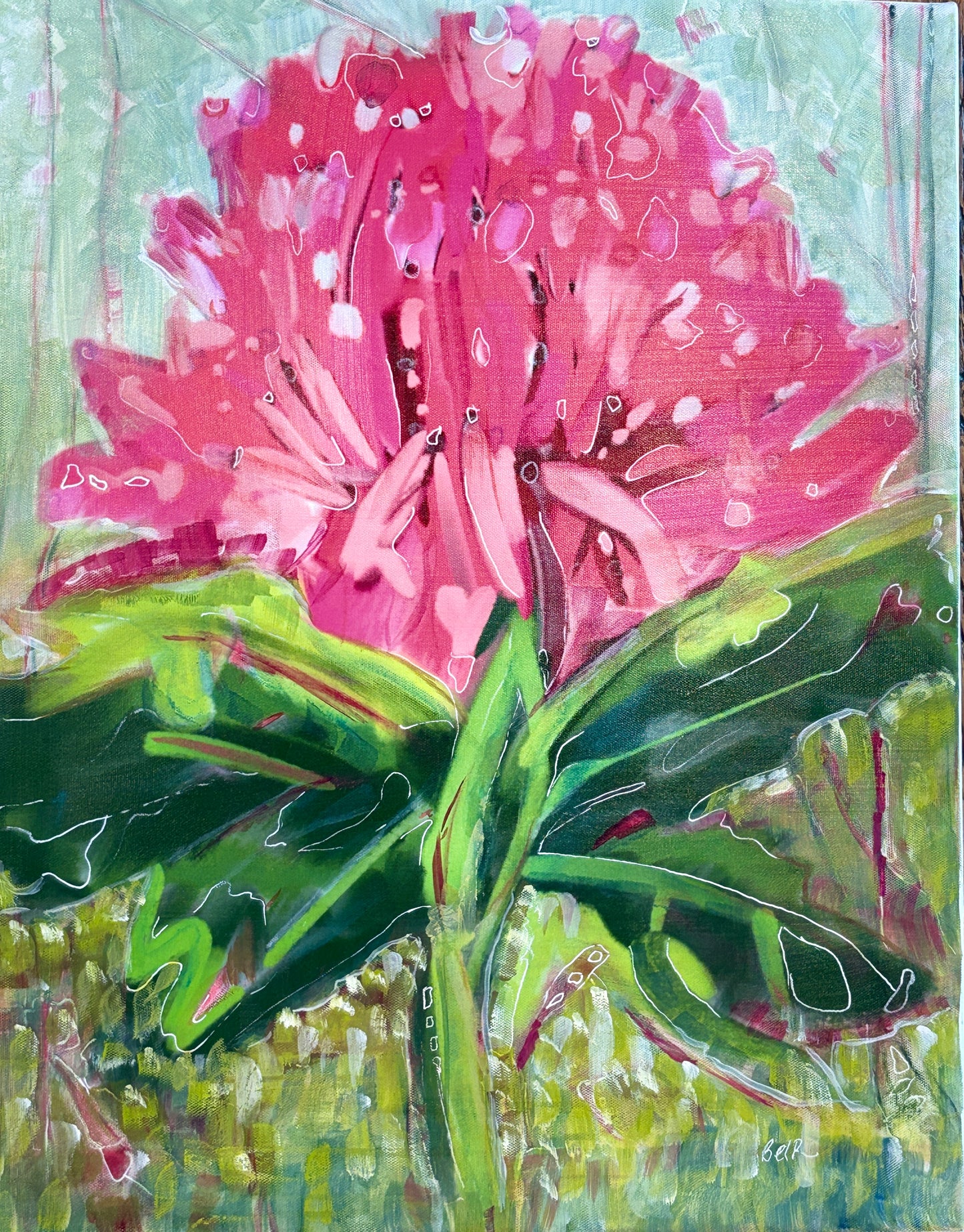 Waratah with Dynamic Background