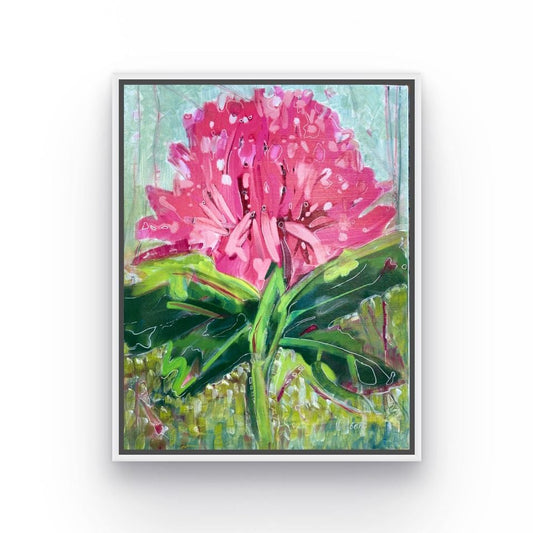 Waratah in Bloom