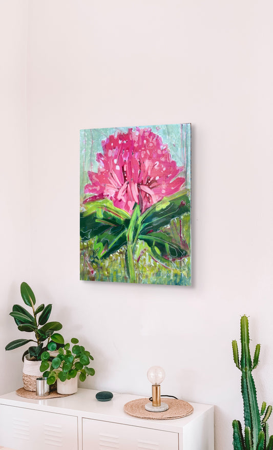 Waratah with Dynamic Background