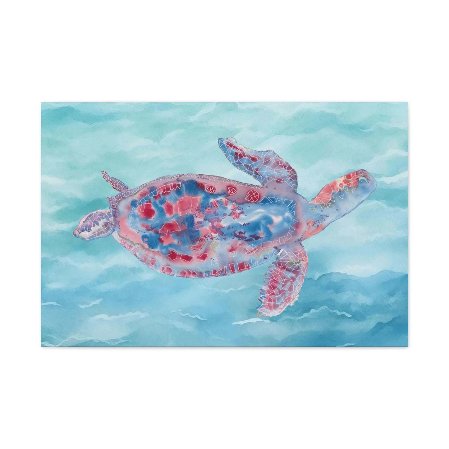 Red and Blue Turtle on Canvas