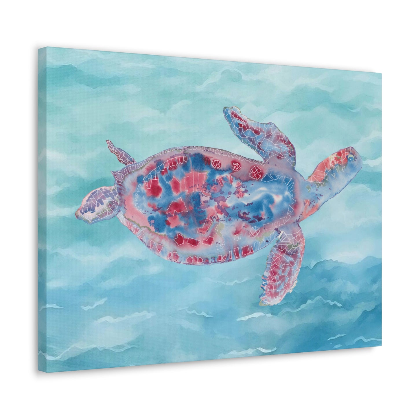 Red and Blue Turtle on Canvas