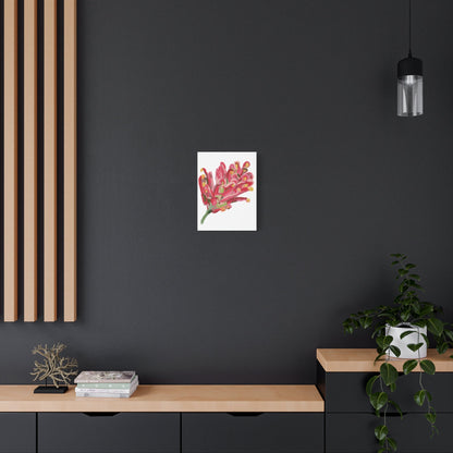 Canvas Print - Bold Grevillea Design on Turquoise Background - Artmakeyourmark.com
