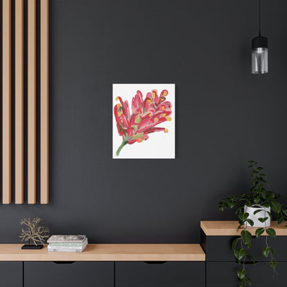 Canvas Print - Bold Grevillea Design on Turquoise Background - Artmakeyourmark.com