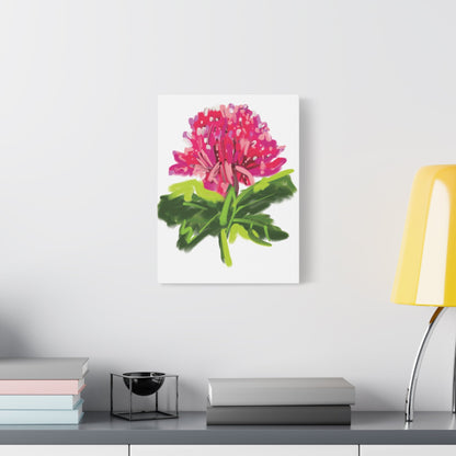 Canvas Print - Waratah in Pinks and Reds with Green Stem - Artmakeyourmark.com