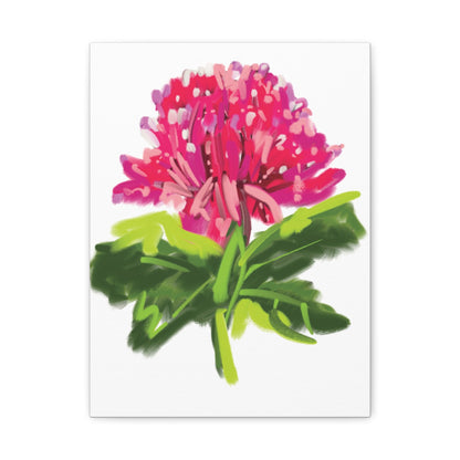 Canvas Print - Waratah in Pinks and Reds with Green Stem - Artmakeyourmark.com